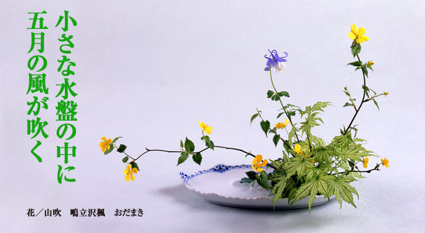 OHARA SCHOOL OF IKEBANA小原流花道讲座